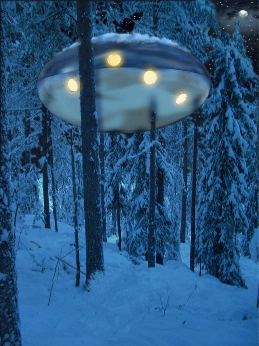Treehotel Harads Esterno foto