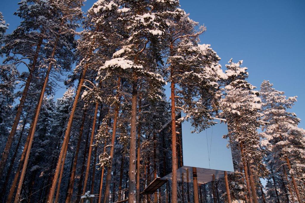 Treehotel Harads Camera foto