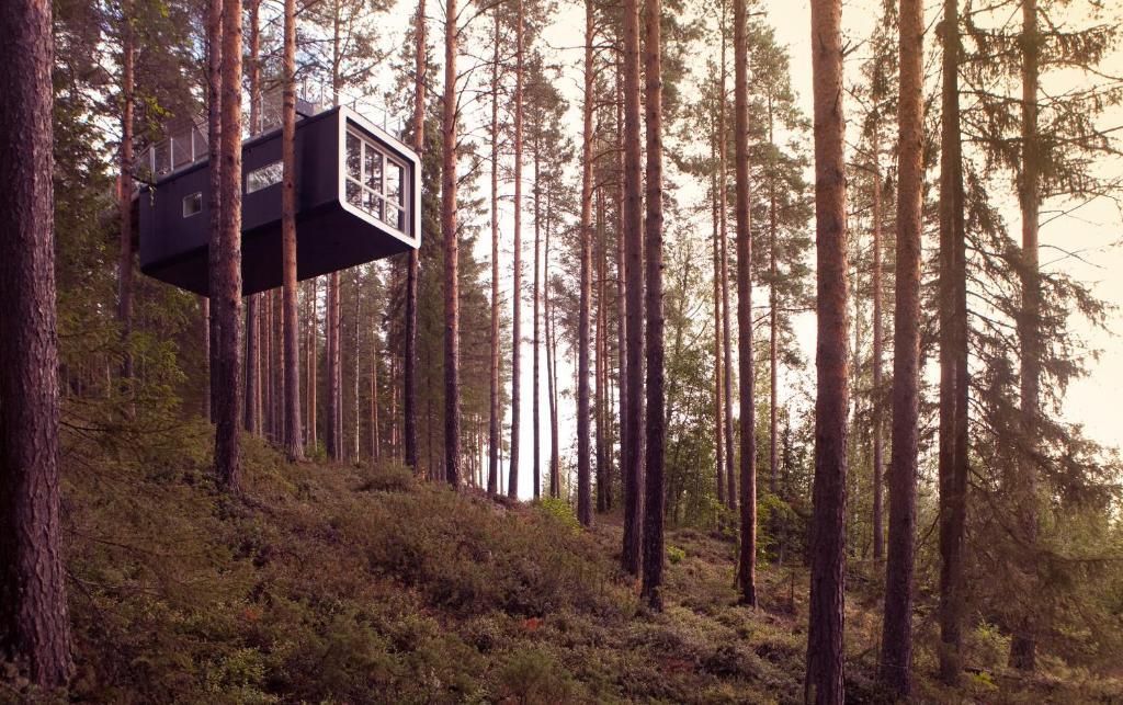 Treehotel Harads Camera foto