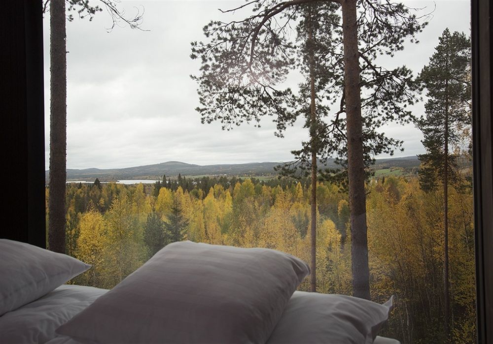 Treehotel Harads Esterno foto
